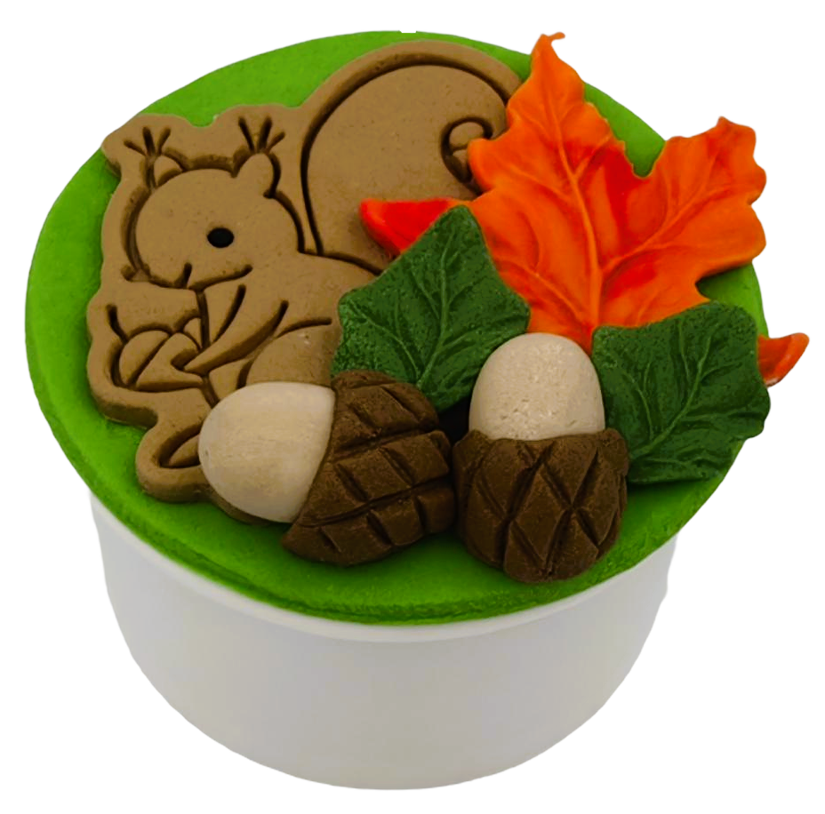 Cupcake Σκιουράκι