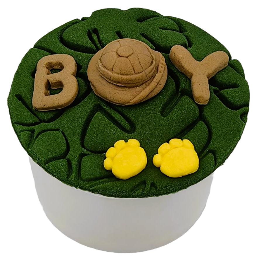 Cupcake Safari Boy