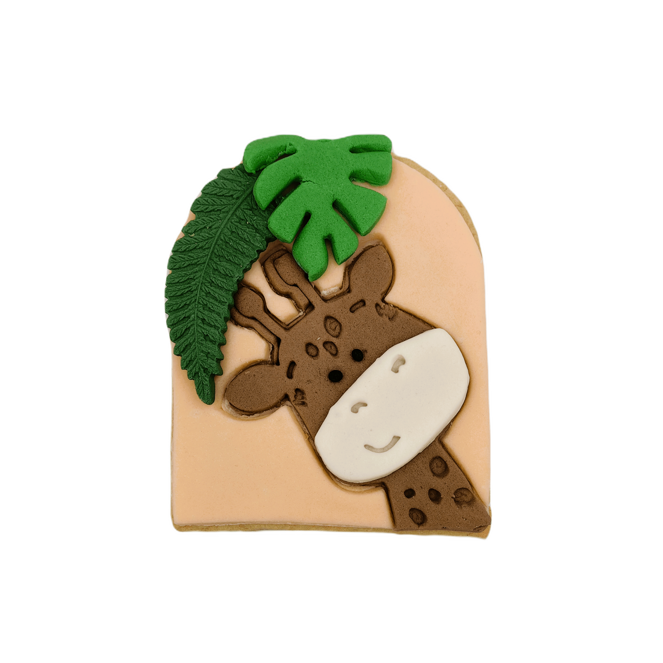 Συλλογή Cookies Safari